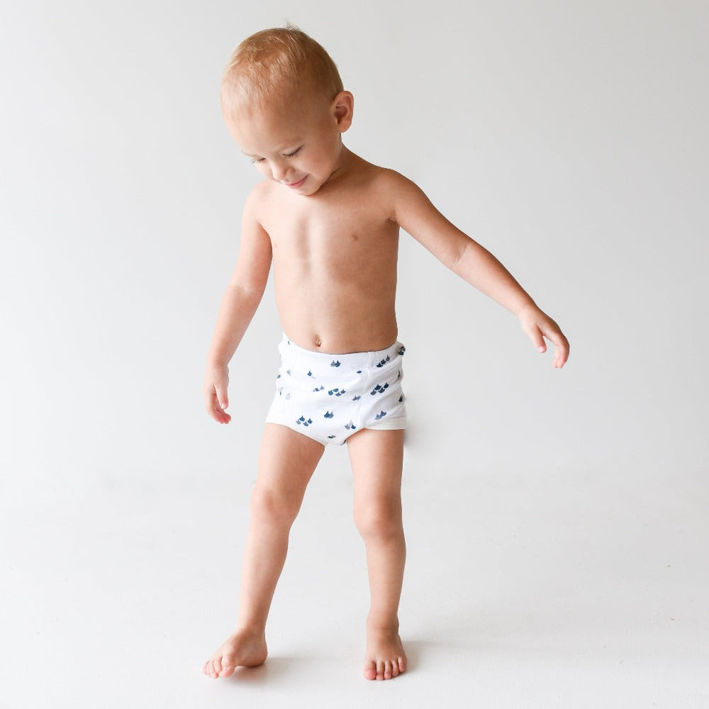 100 Organic Cotton Potty Training Pants Laas